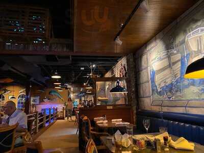 Chesapeake's Downtown