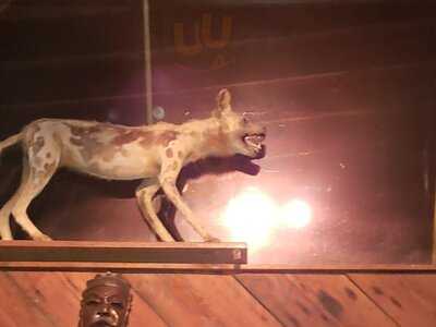 Hunter-gatherer Brewery & Alehouse