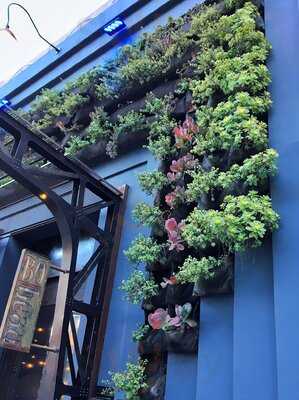 Bo-beau Kitchen + Roof Tap