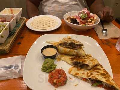 Willy Taco - Feed & Seed