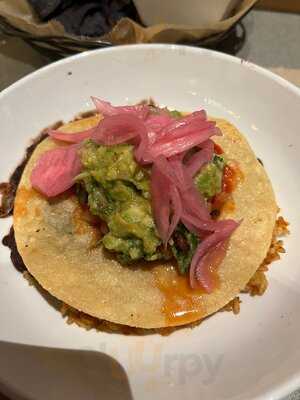 Willy Taco - Feed & Seed