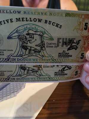 Mellow Mushroom Lincoln