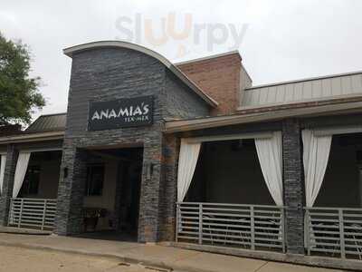 Anamia's Tex Mex - Plano