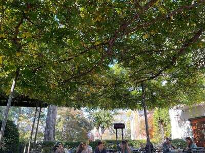 Rembrandt's Coffee House