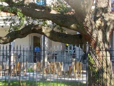 Zinnia Cafe & Events