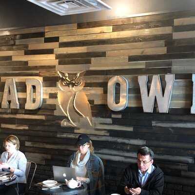 Bad Owl Coffee