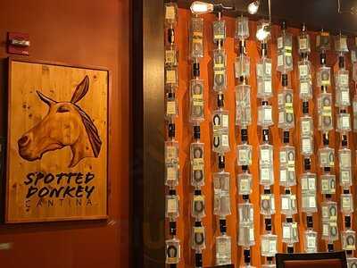 The Spotted Donkey Cantina