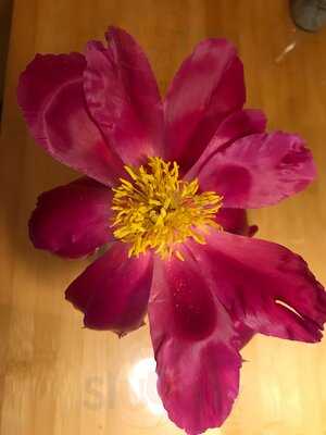 Suite 100 Restaurant Bar & Lounge