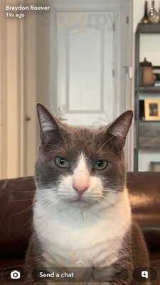 Mellow Mushroom Chattanooga