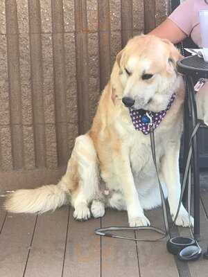 Legends Of Aurora Sports Grill