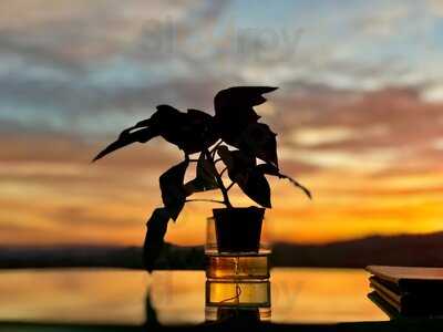 The Tap Room At The Langham