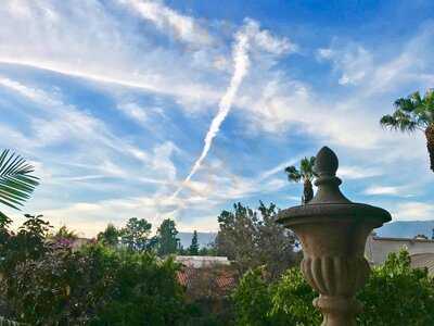 The Tap Room At The Langham