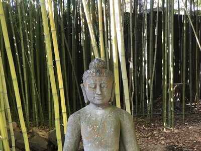 Namu Restaurant & Coffee Bar