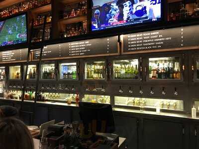 Union Bear Brewing Co.