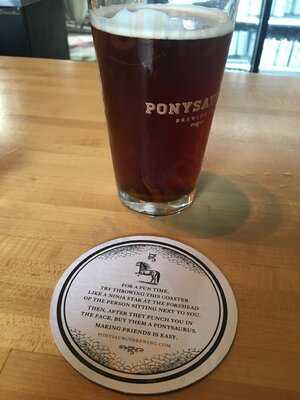 Ponysaurus Brewing