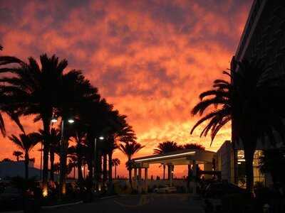 Extreme Pizza Florida