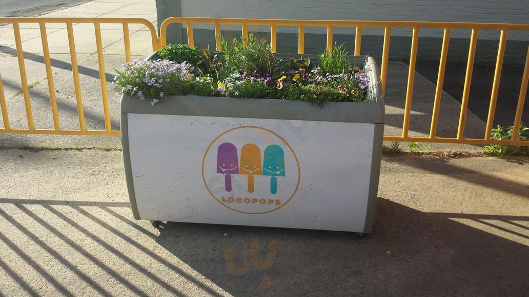Locopops
