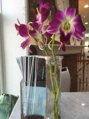 Bluprint Chocolatiers