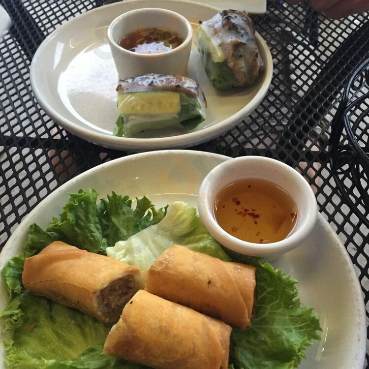 Sprouts Springroll & Pho