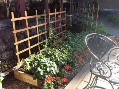 Ripples On The River