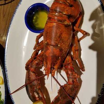 Red Lobster