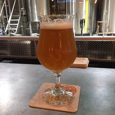 West Palm Brewery & Wine Vault