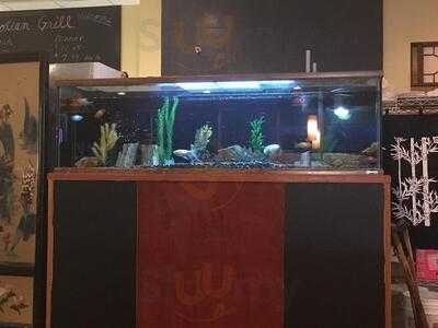 Chao's Mongolian Grill