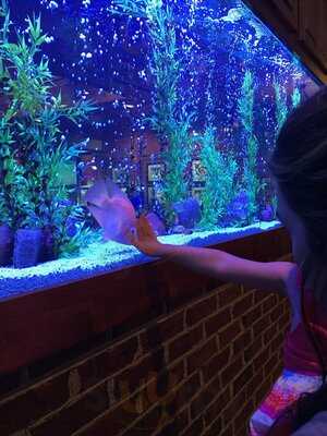 Cheddar's Scratch Kitchen