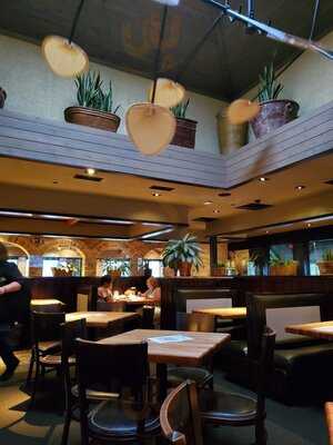 Cheddar's Scratch Kitchen