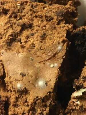 Mcgrath's Fish House