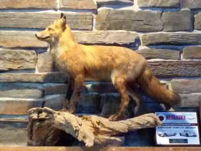 Red Fox Steak House & Lounge