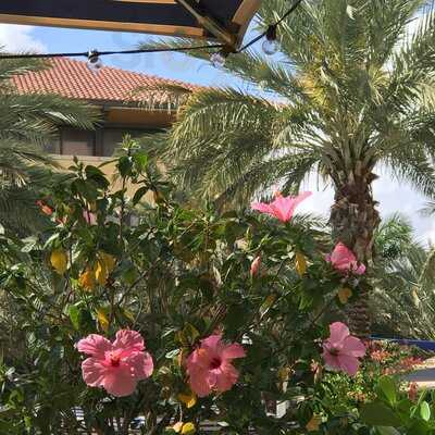 Manor - Hilton West Palm Beach