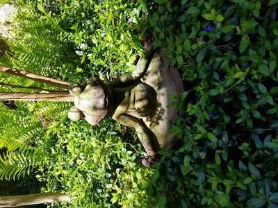 Fair Trade Coffee House