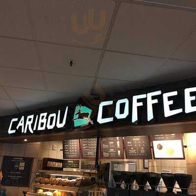 Caribou Coffee