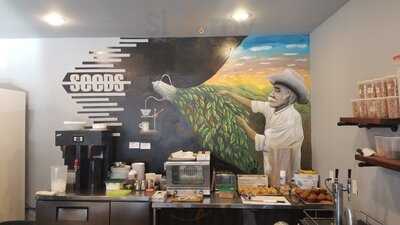 Seeds Coffee Company