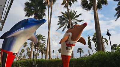 Hooters - Clearwater Beach