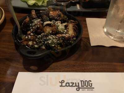 Lazy Dog Restaurant & Bar