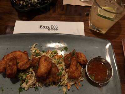 Lazy Dog Restaurant & Bar