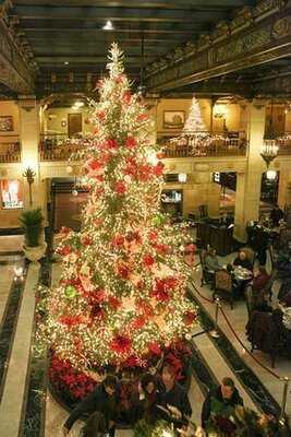 Champagne Sunday Brunch