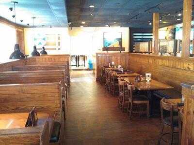 Outback Steakhouse
