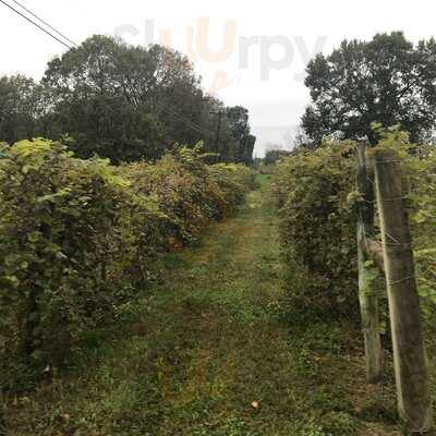 Jean Farris Winery & Bistro