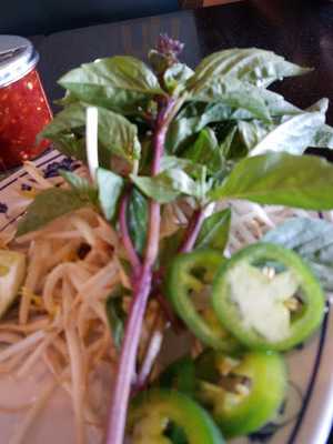 Pho Yo