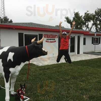 Strachan's Ice Cream And Desserts