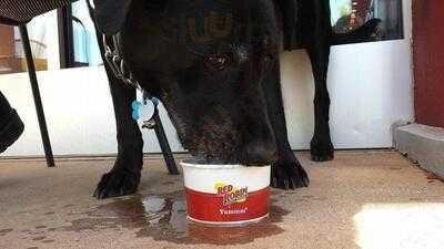 Red Robin Gourmet Burgers & Brews