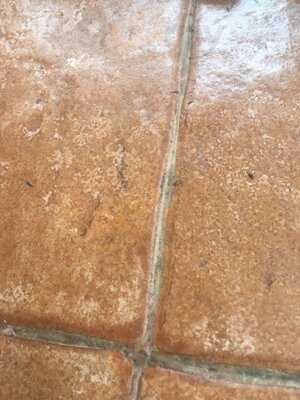 On The Border Mexican Grill & Cantina