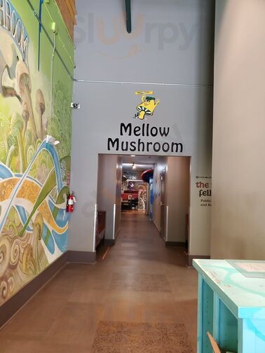 Mellow Mushroom Greenville