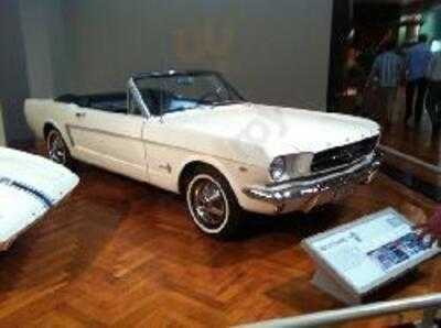 National Coney Island