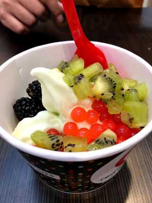 Red Mango Newport Mall Center