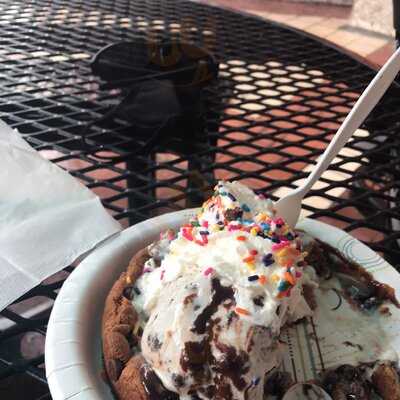 The Mint Fox Cookies And Ice Cream