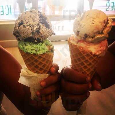 The Mint Fox Cookies And Ice Cream